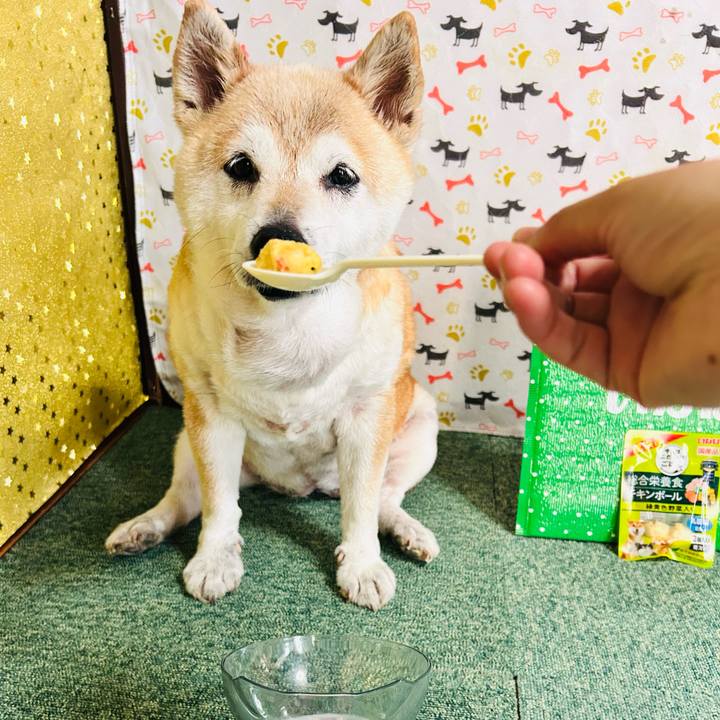 Cb6c15f4 be44 405f b99f 6d7e6d4578b2 1751684876461