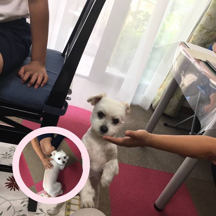 Cb6c16b6 0adb 4fb2 9c90 f8c039f6763b 1559216458938