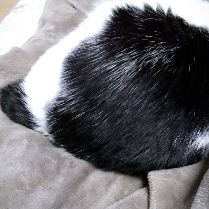 Cb6c2620 98b2 479d 96e1 5473f49a0774 1552219778244