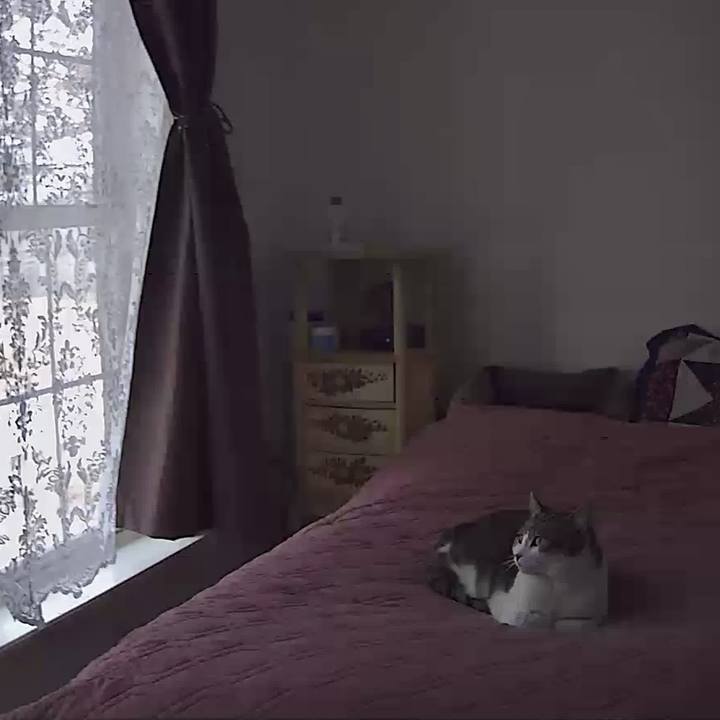 Cb6c2f30 38c7 4490 9048 78bc7b7d066d 1691956002479