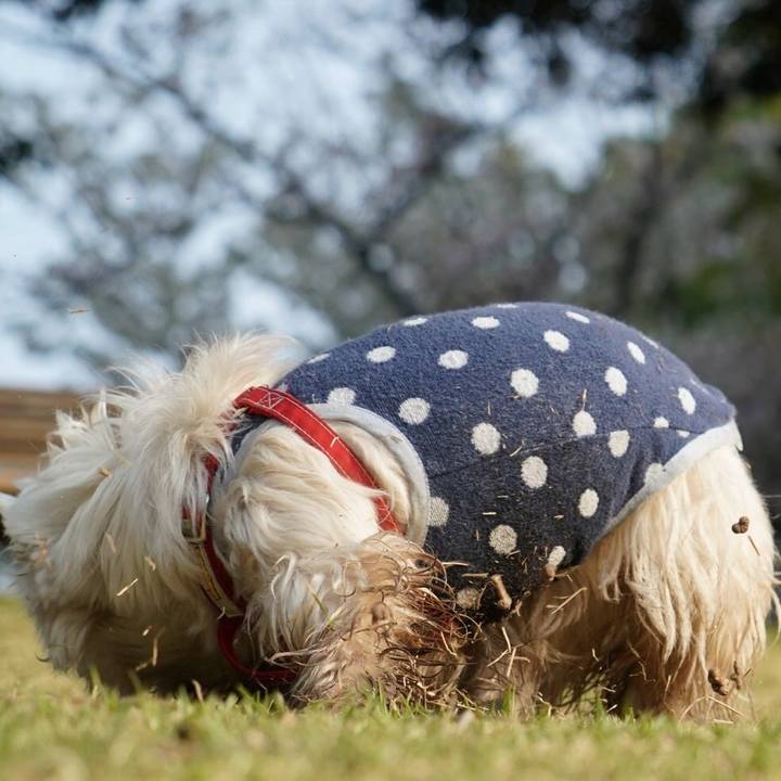 Cb6c3111 f76d 4b3f 84a2 429b68ee583b 1522759289902