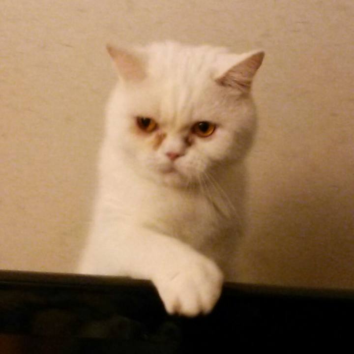 Cb6c3639 a87a 4c11 bcce 88cff5470206 1512514496570