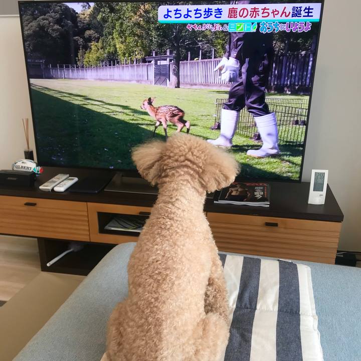 Cb6c42ec aed1 4819 a4ef 681b65d39ca1 1588313059416