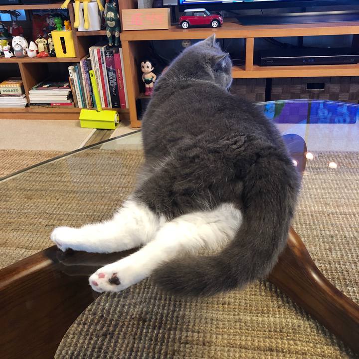 Cb6c56d7 9c4a 41de acc2 d0ec830944b3 1627648895903