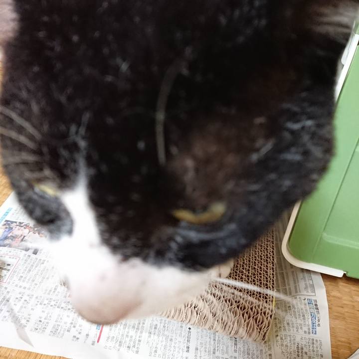 Cb6c589c d75a 491a ad9b 262cde53aaa0 1595907111656