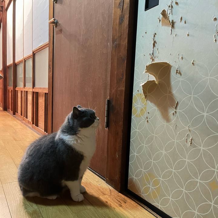 Cb6c5d3c ccd2 4bfa 9cc9 3103e65e8c5f 1698412028346