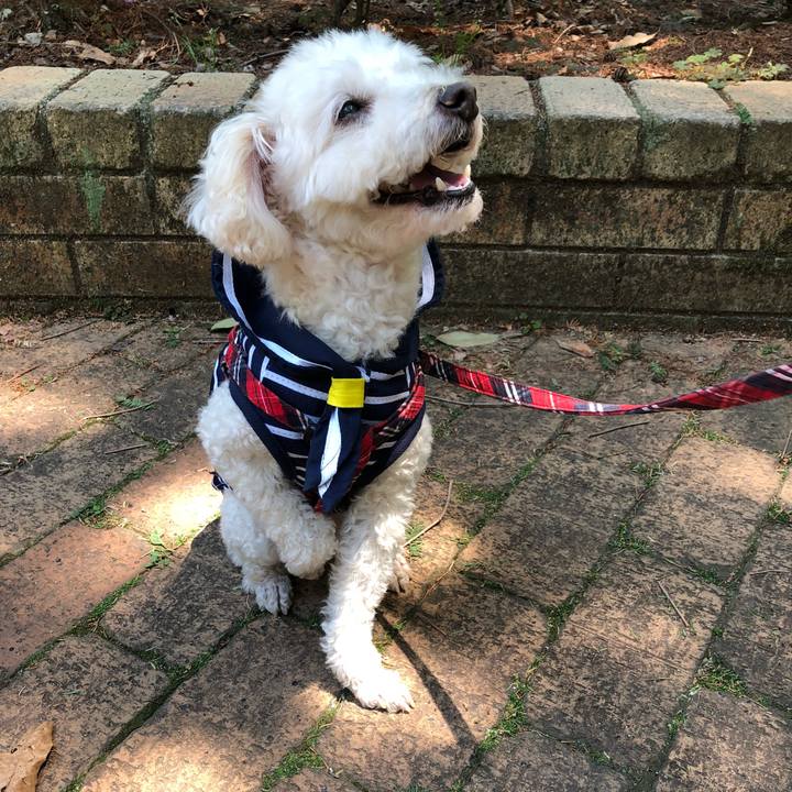 Cb6c7706 bb8b 46ac a6bf 366d3a98642b 1527215059297