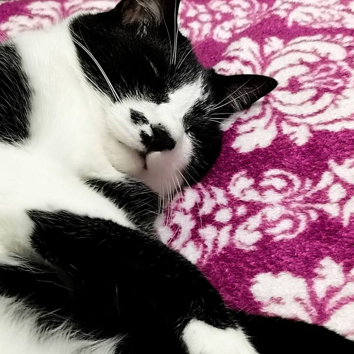 Cb6c7a9e 8beb 4f38 ba38 c265a5881e94 1549122866504