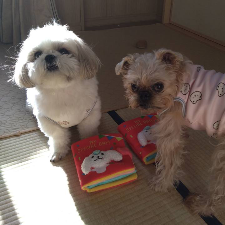 Cb6c8156 44c0 4cea ab85 b5306eb0fbf9 1703400610499