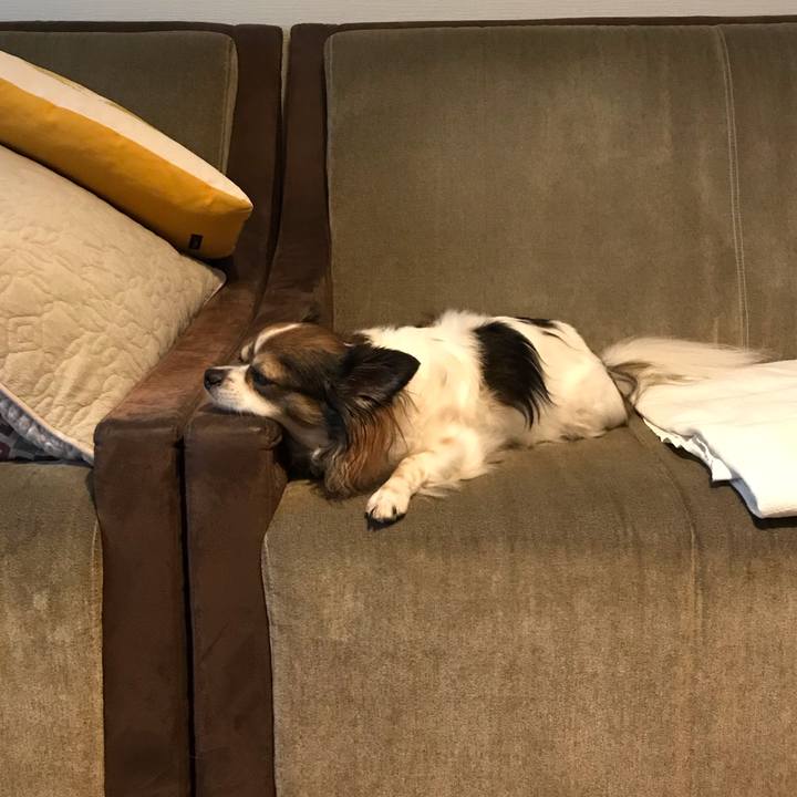 Cb6cdf32 9ccc 4a1c 9285 d9693886f73e 1570320576342