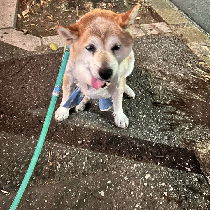 Cb6cf87e b3a2 4e6c a03e 313d8221b9ad 1755946748087