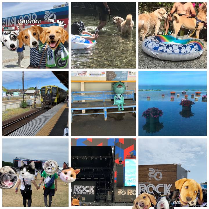 Cb6d0742 4154 49f5 8819 d9085cee3cce 1565683162860