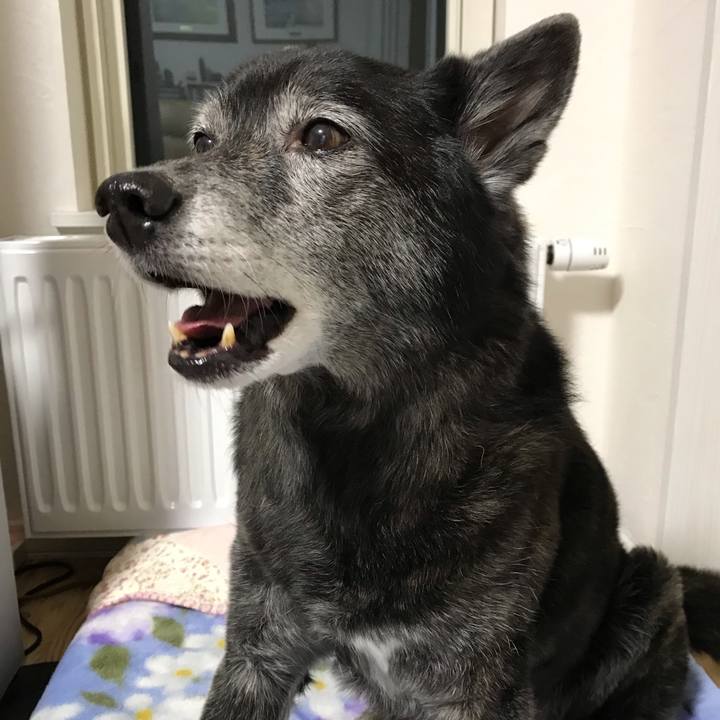 Cb6d5f1f 434a 47b6 b748 65138f3cb8b0 1646708568630