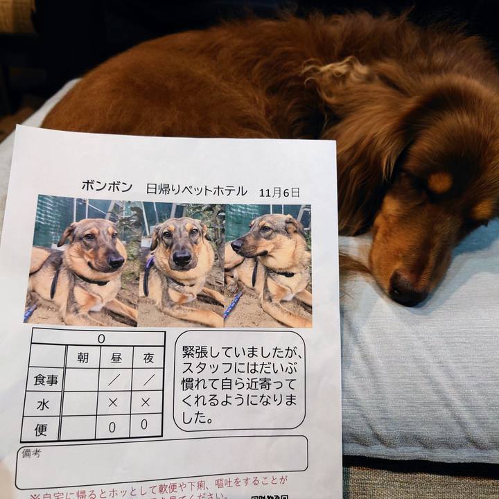 Cb6d7312 9fe9 404a a70f 56147ac40db8 1699265486509