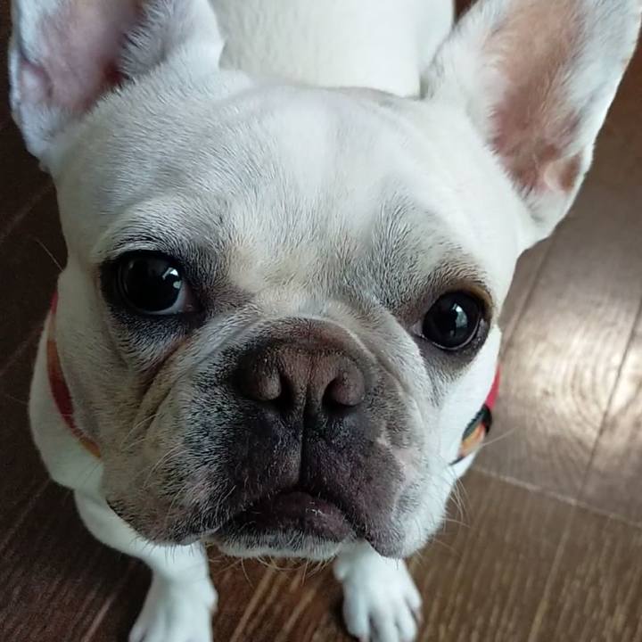 Cb6d7380 a783 4a9b 981c 70ba9cda2a79 1654296861083