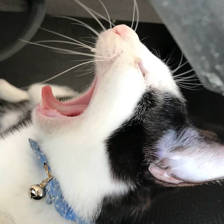 Cb6d740d c844 4c8d a40f 60e0017bbcb2 1515481067948