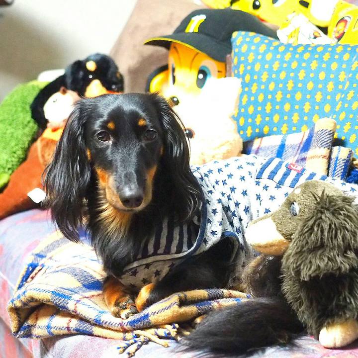 Cb6dd591 d7a3 4a2d ad70 ba588d474d4a 1510710176076