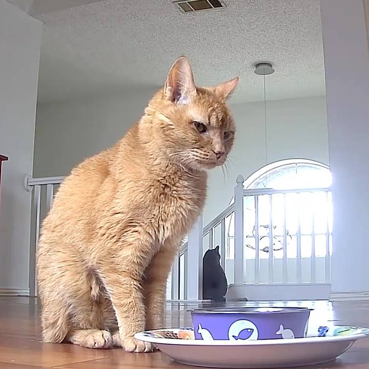 Cb6e4756 ed52 4b59 97d1 8d99f1c823e9 1769367033970