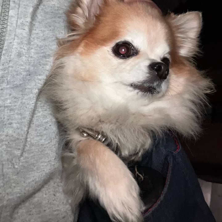 Cb6e74a4 04bd 4f93 9c68 d7371e9c8cbe 1771073858268