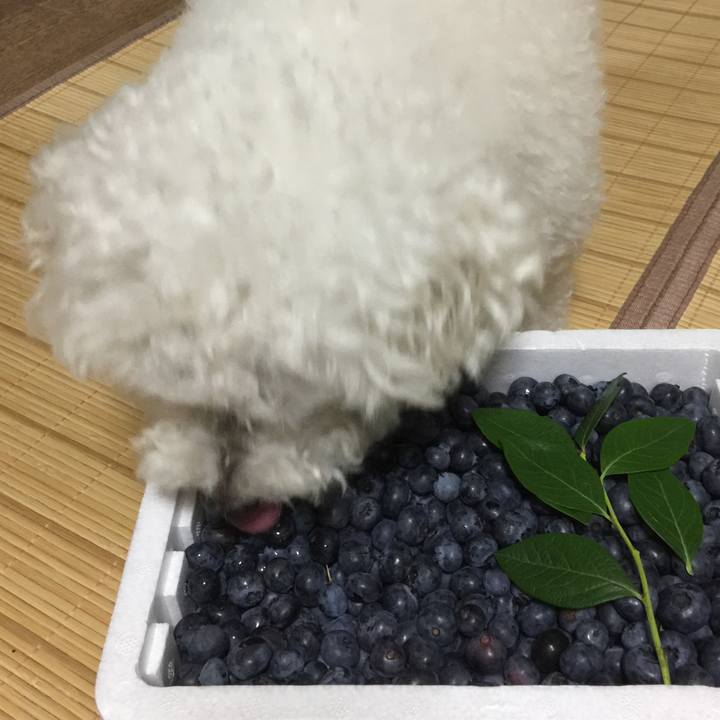 Cb6e7a9c a7e5 4700 a2ea 0060415a156e 1531917348454