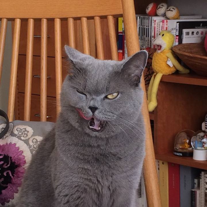 Cb6e8d91 e06f 4962 be61 bfd53182eb1f 1548153973838