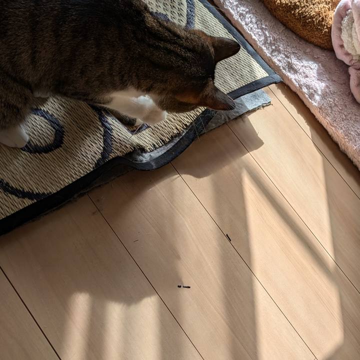 Cb6eaa49 1fe5 40c8 824a 04d2bd35605e 1725494295909