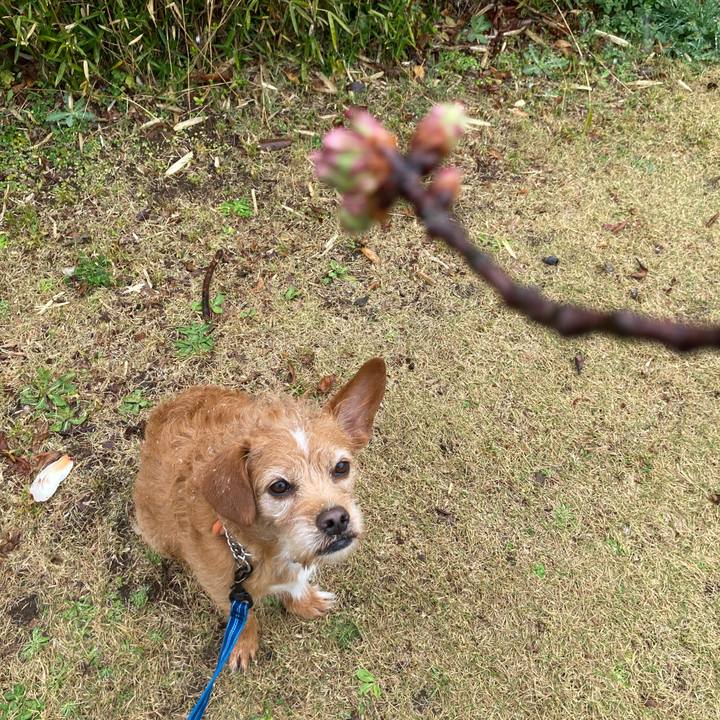 Cb6eaac4 6144 4d49 97a5 99b9a76f9776 1647931805546