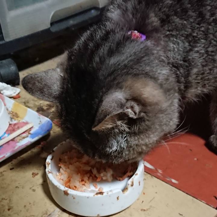 Cb6eb30f b114 4710 a44a 368a71e8e0e8 1585080217993