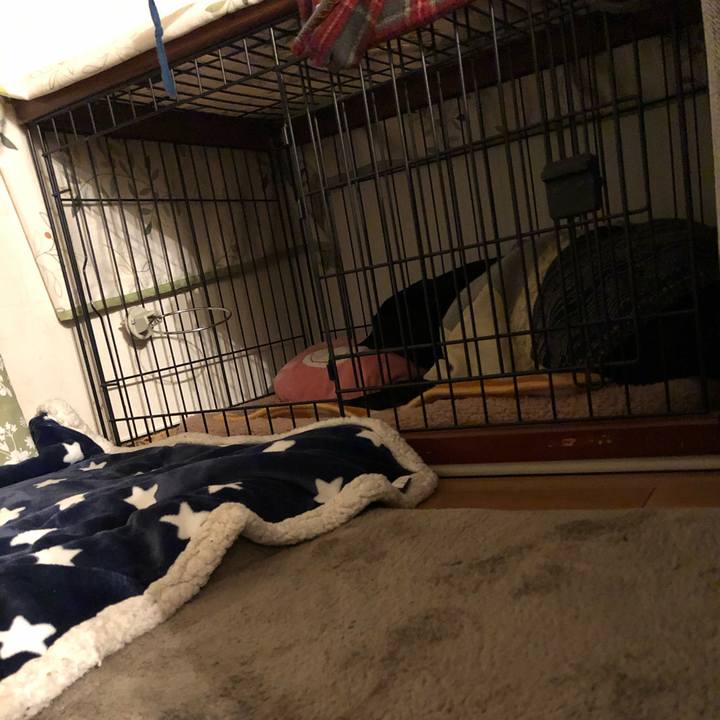 Cb6ed5c2 a611 45d1 9ca5 b540f0be7d96 1581690653938