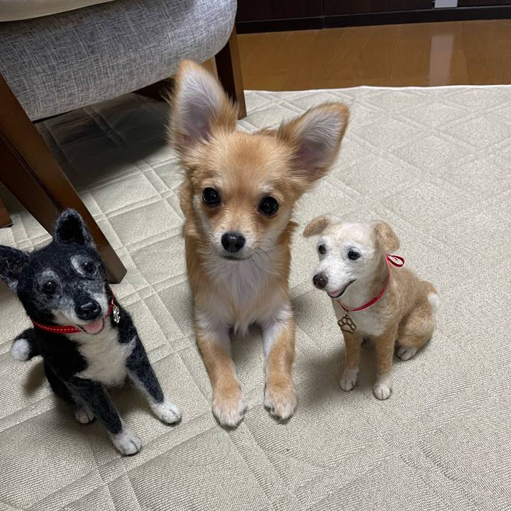 Cb6ee4cf 1f09 4c94 96f6 b1fa5ddaf0ad 1772429866812