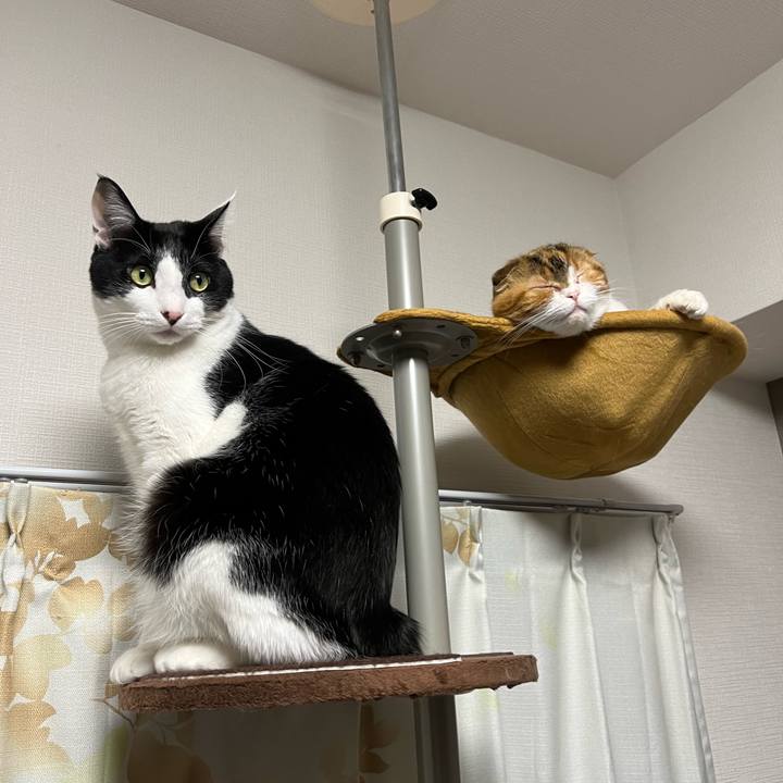 Cb6eeca5 88d8 4def bbde ae90beb8865b 1671262672076