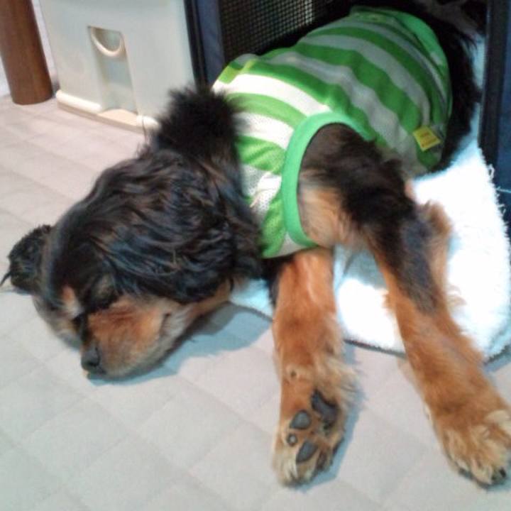 Cb6f121a e6a2 43bc adcd 6a19ef50cad6 1532954594316