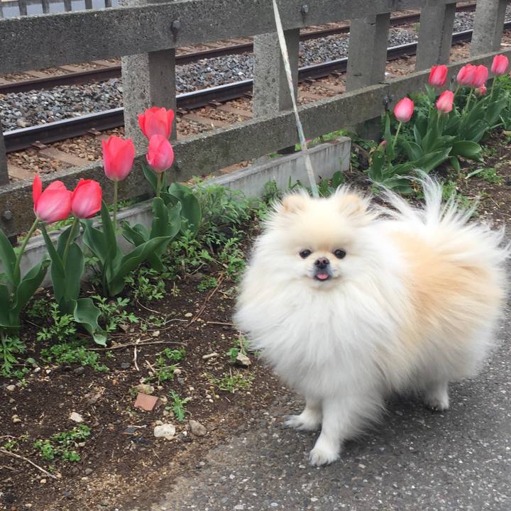 Cb6f1da2 9962 465a aaf1 1d1d758d0e99 1554189061114