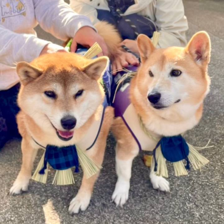 Cb6f2186 370d 4d34 a0c2 69bc9d081b43 1766169221878