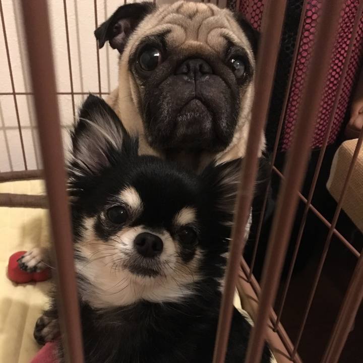 Cb6f4109 9033 4683 a446 5098aa7fe202 1514006054015