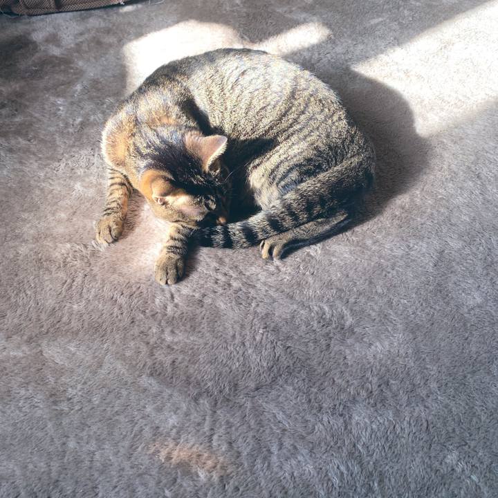 Cb6f5bb8 1714 476f 8c53 60d7399513cd 1552954031440