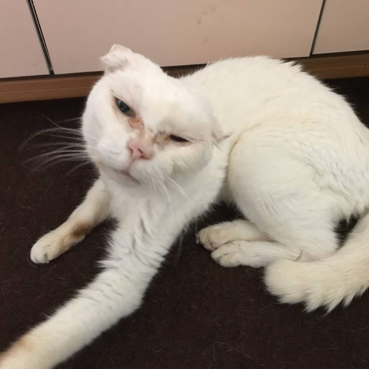 Cb6f825a 6d2a 4ed7 a204 3550f3b31726 1531889027560