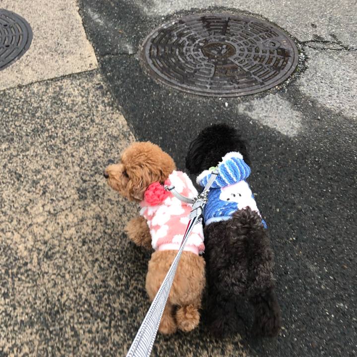 Cb6fb54c 90f7 4f15 8b76 8a3066926319 1580196851719