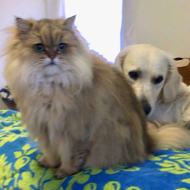 Cb6fdbc1 c49f 4dc9 9ef7 61c462c52532 1546363242343