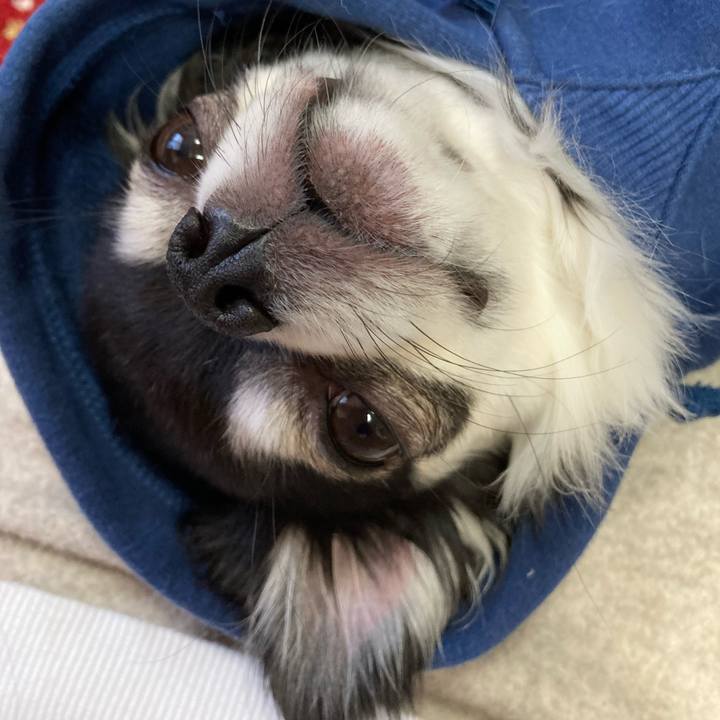 Cb6fe623 c39f 4c91 966e 83cd31f5399c 1676732501436