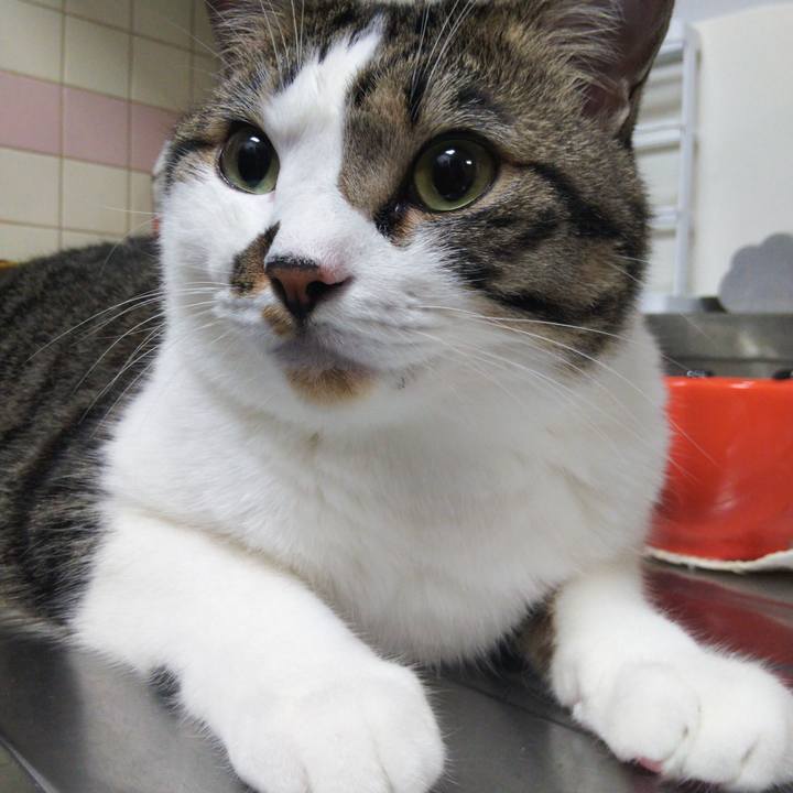 Cb702a3c f883 49d5 9b48 22725f0daa29 1660308281761