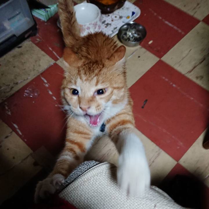 Cb704098 e01d 40a1 a378 9ba347d9d4e2 1566936146186