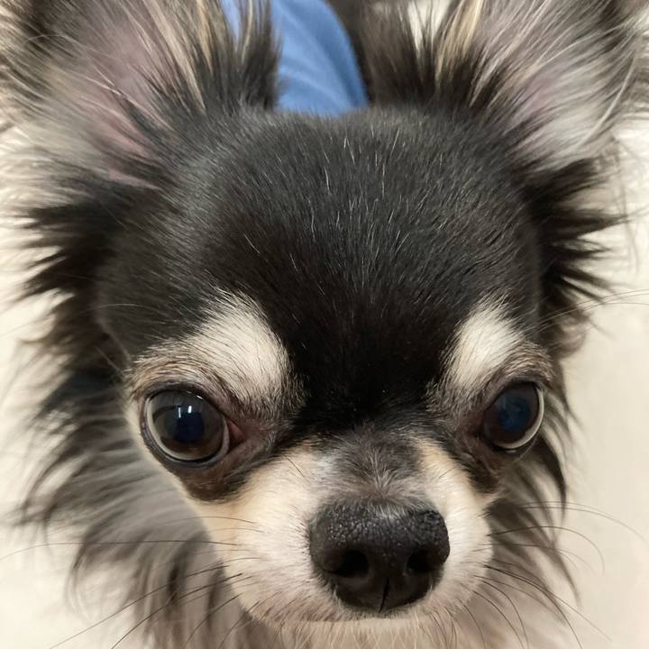 Cb704418 fda6 4d68 b2a0 798f1c31e72d 1617544604904