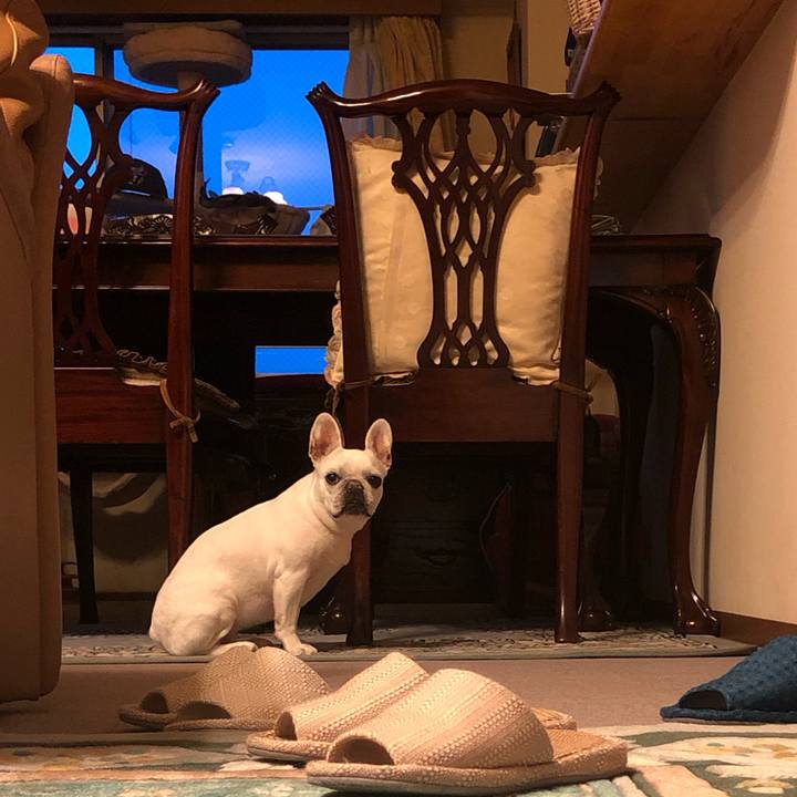 Cb7051fb 1cb4 4218 9819 f01b93930ff8 1684061331241