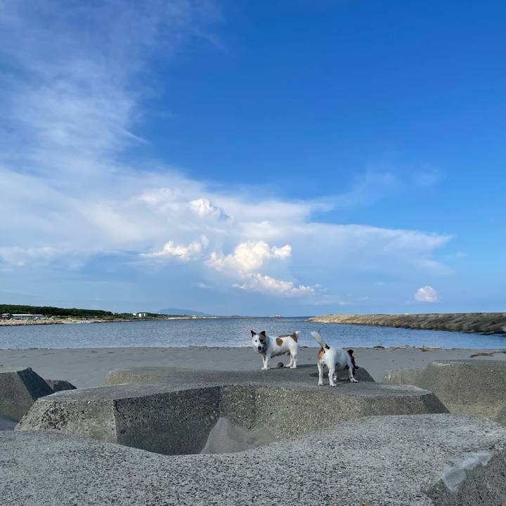 Cb708bee 790f 428d 9015 57227571aa1e 1690849236676