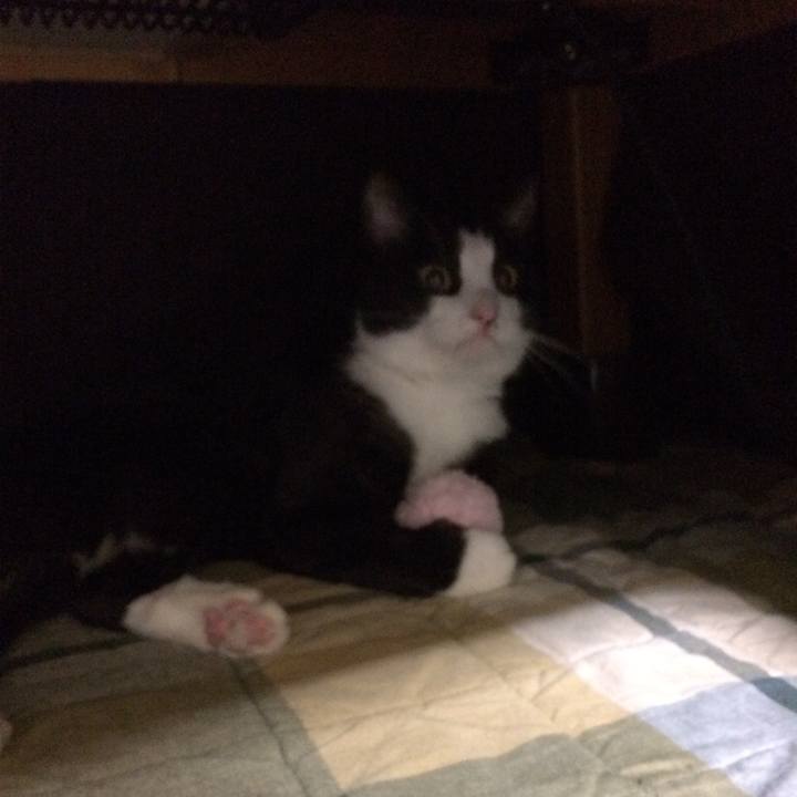 Cb708bfa b0d2 4ae4 ad97 d0f781a9b850 1511787053615