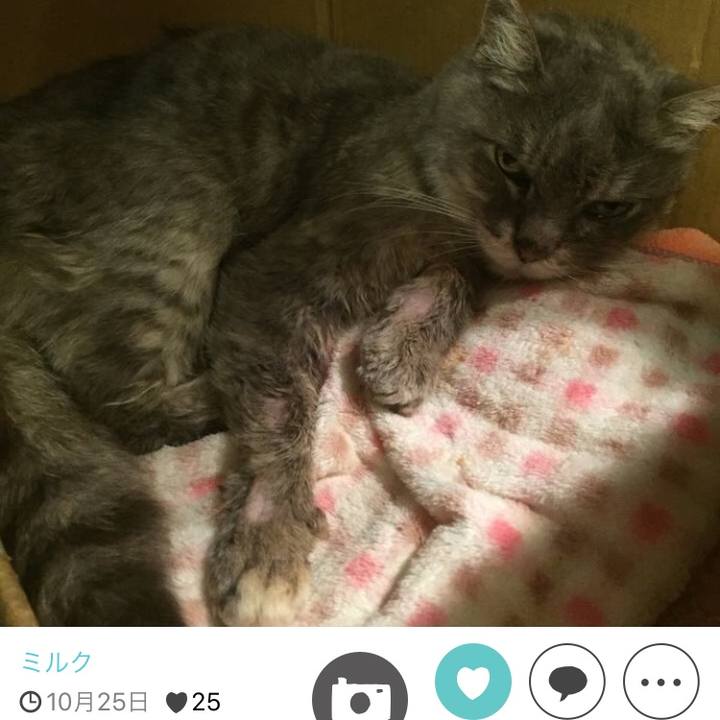 Cb709212 b5a9 47e5 aa08 1683f4657802 1511691072727