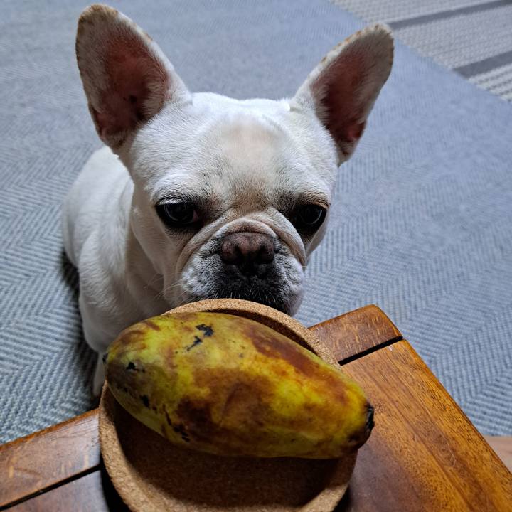 Cb70e957 85ce 4219 a7ea edabbe406651 1726650433470