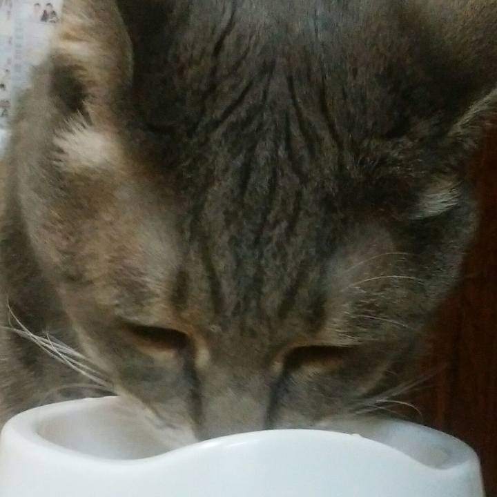 Cb711a41 70dc 42d9 abe4 cbf72e80afb1 1535160173497