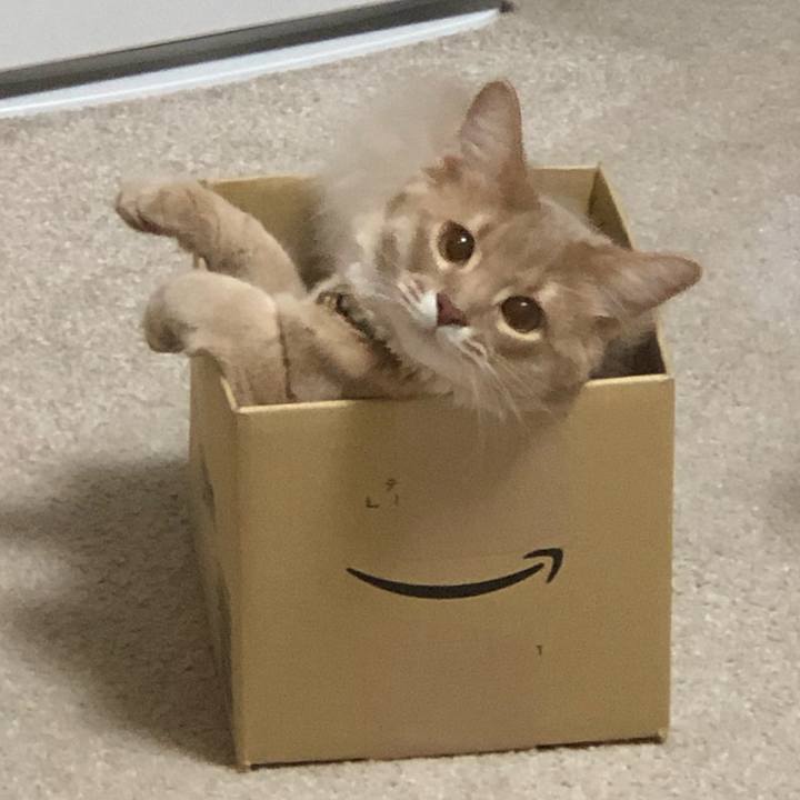 Cb714b1e 8b73 4e15 a7c8 ff4783bff798 1553217082038